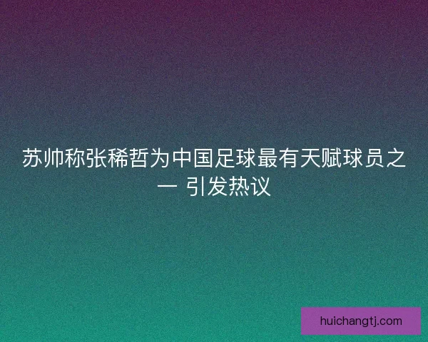 苏帅称张稀哲为中国足球最有天赋球员之一 引发热议